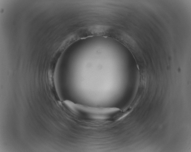 X0000082960575200702011310