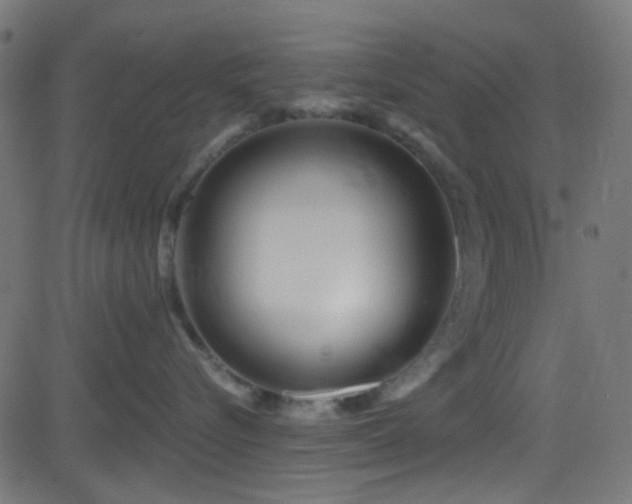 X0000082960576200702011310