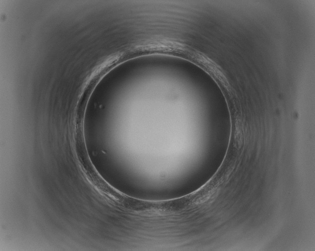 X0000082960578200702011309