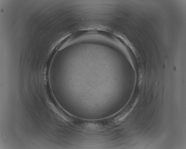 X0000082960585200702011309
