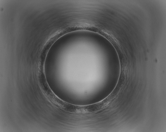 X0000082960591200702011309