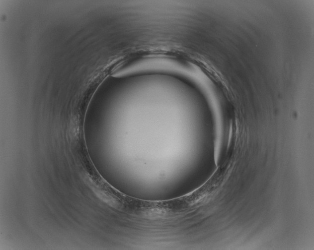 X0000082960593200702011309