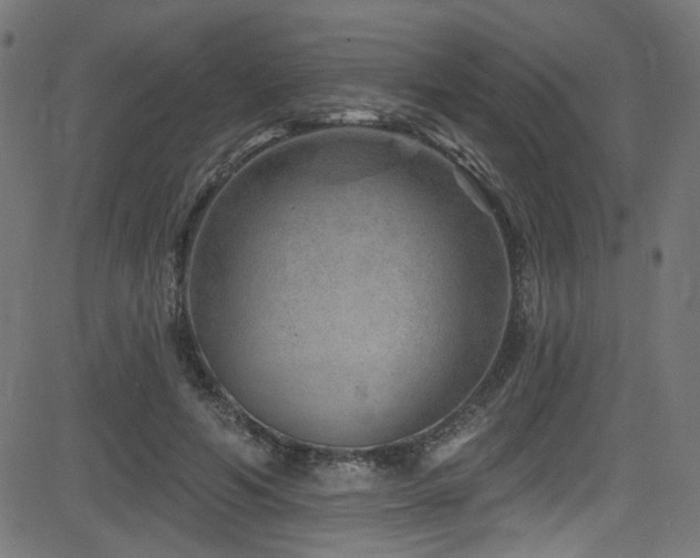 X0000082960594200702011309