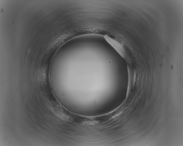 X0000082960595200702011309