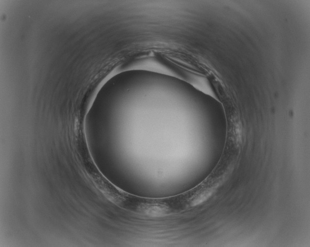 X0000082960597200702011309