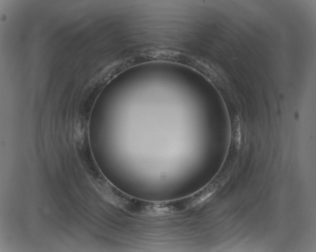 X0000082960607200702011309