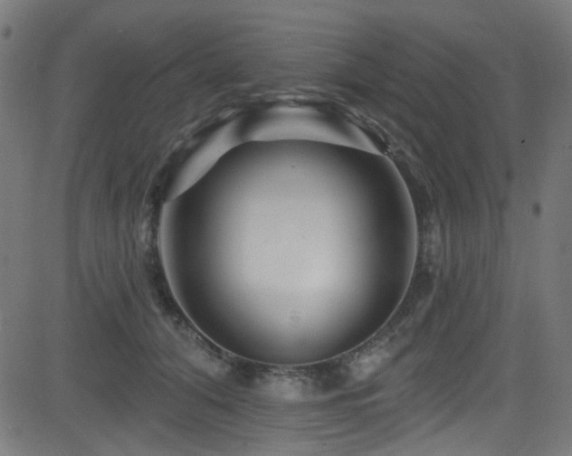 X0000082960608200702011309