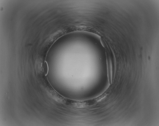 X0000082960615200702011309