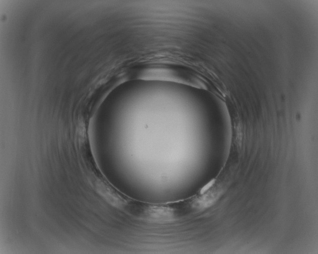 X0000082960617200702011309