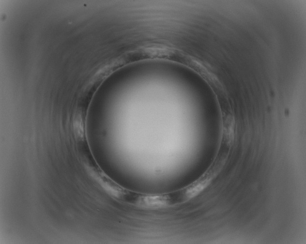 X0000082960622200702011309