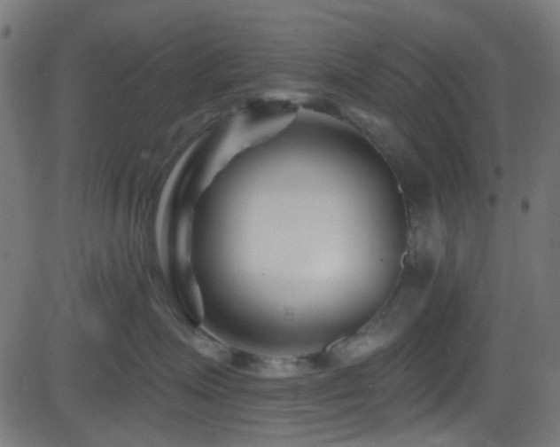 X0000082960623200702011309