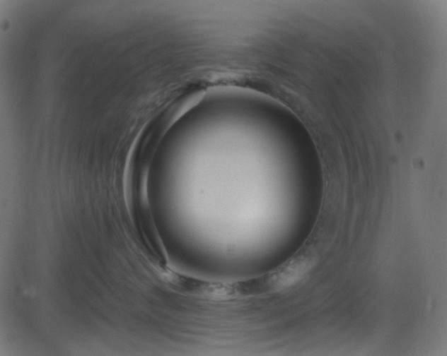 X0000082960624200702011309
