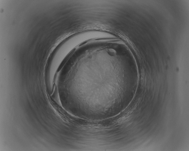 X0000082960626200702011308