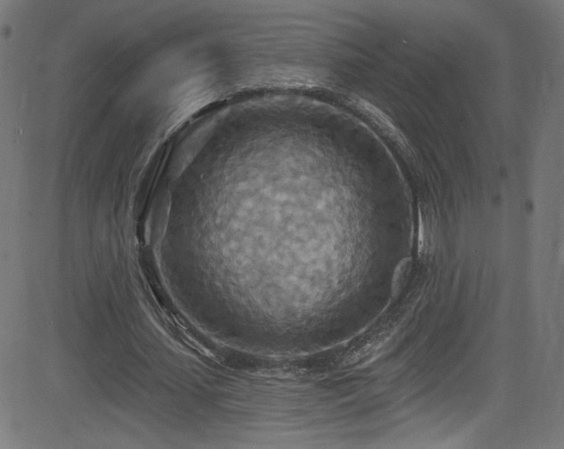 X0000082960627200702011308