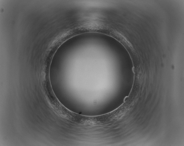 X0000082960635200702011308