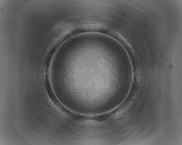X0000082960637200702011308