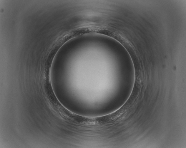 X0000082960639200702011308