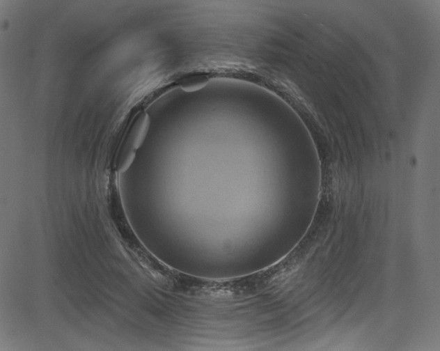 X0000082960640200702011308