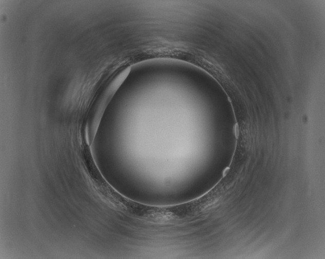 X0000082960642200702011308
