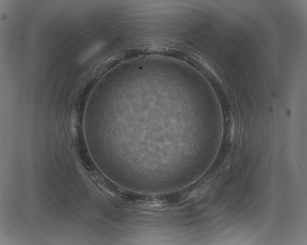 X0000082960643200702011308