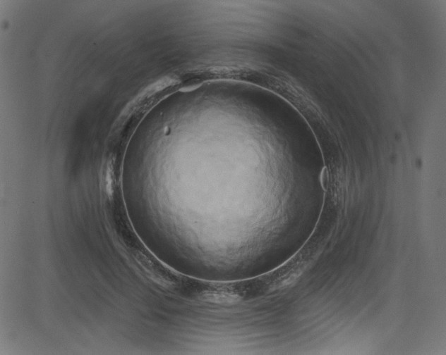 X0000082960644200702011308