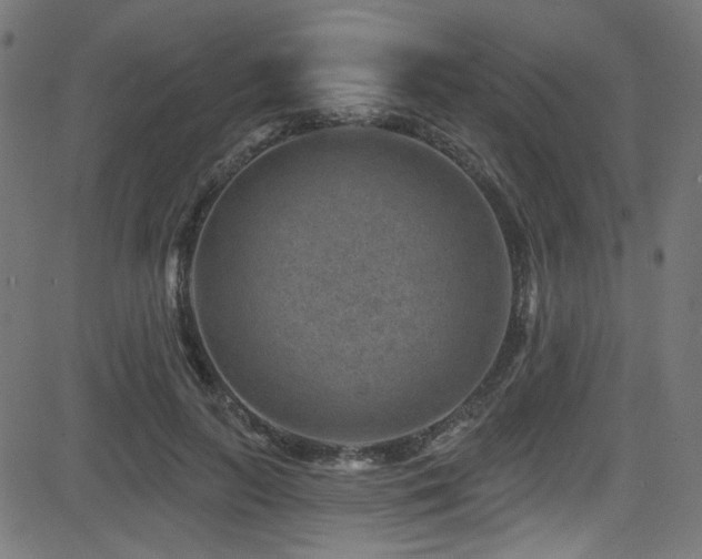 X0000082960647200702011308