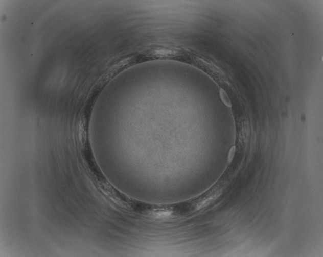 X0000082960651200702011308
