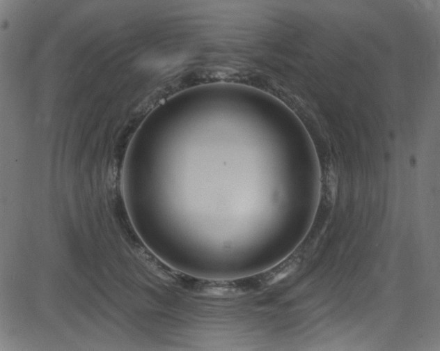 X0000082960657200702011308