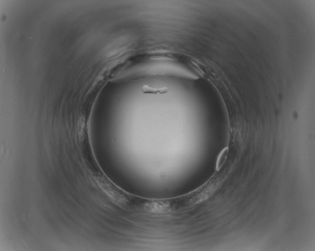 X0000082960660200702011308