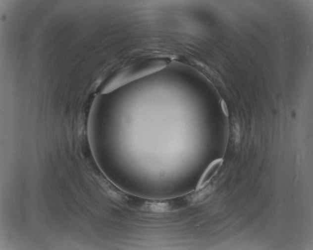 X0000082960665200702011309