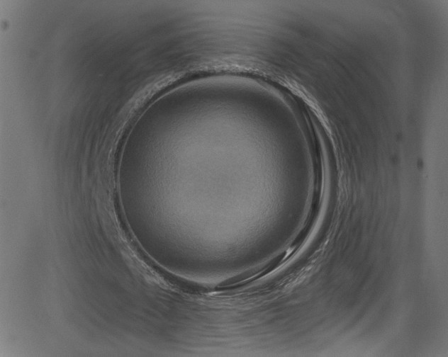 X0000082960673200702011308