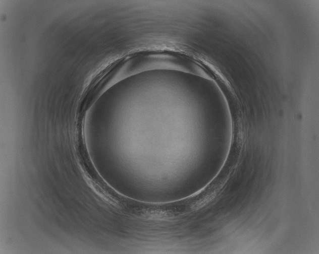 X0000082960677200702011308