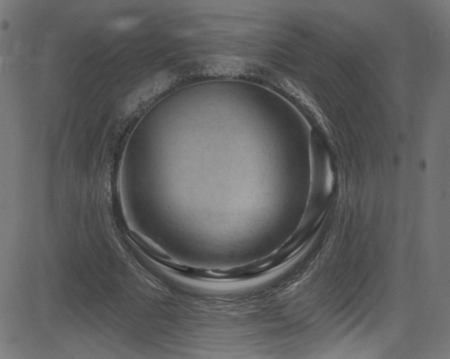 X0000082960681200702011308