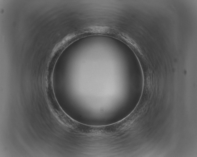 X0000082960682200702011308