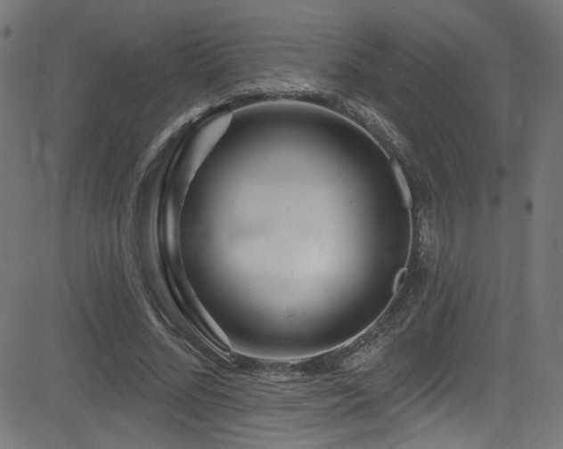 X0000082960684200702011308