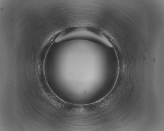 X0000082960688200702011308