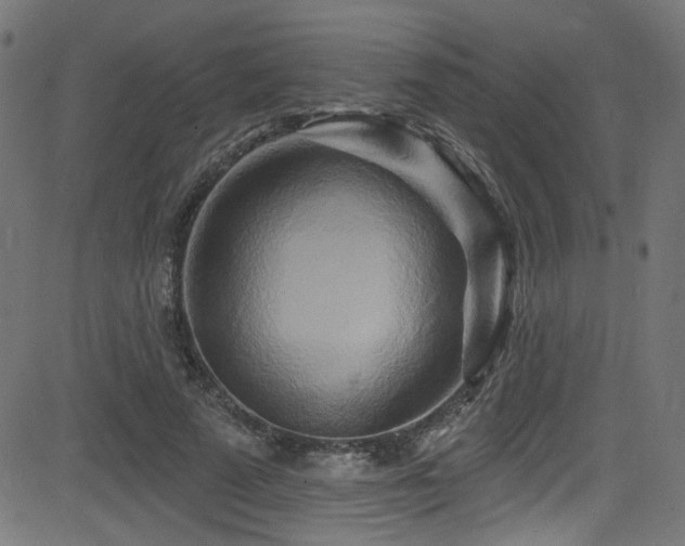 X0000082960689200702011308