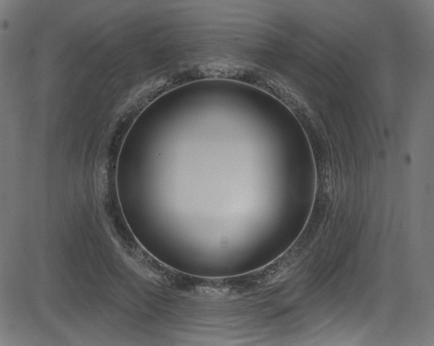 X0000082960690200702011308
