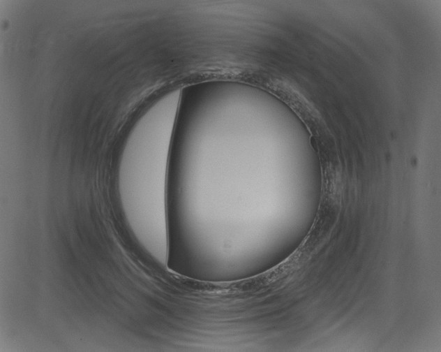 X0000082960692200702011308
