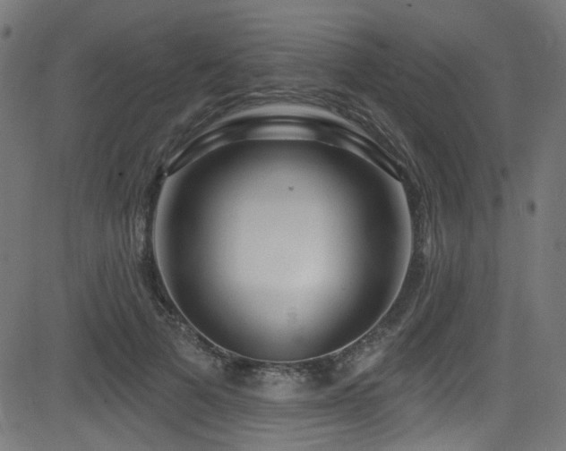 X0000082960697200702011307