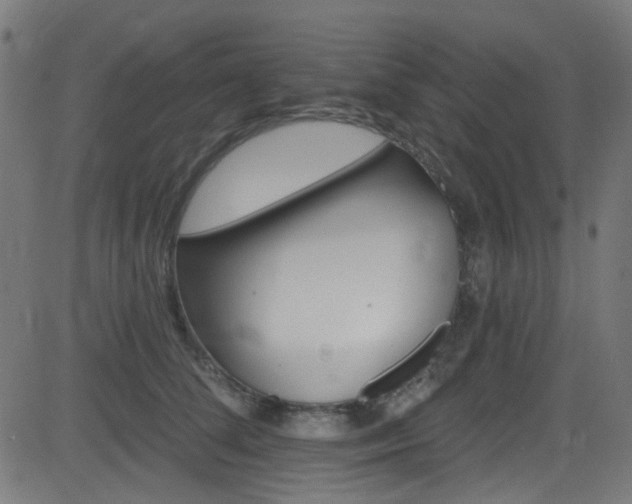 X0000082960708200702011307