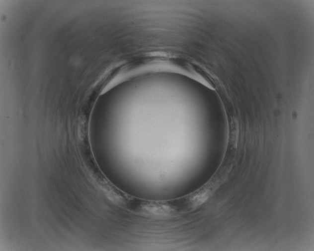 X0000082960712200702011307