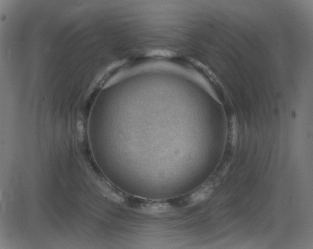 X0000082960716200702011307