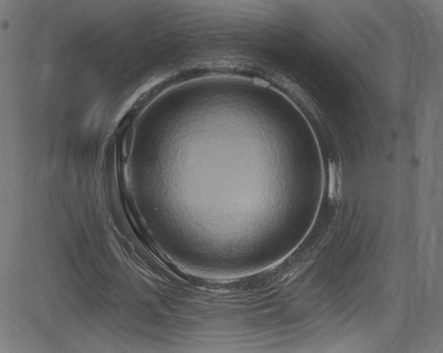 X0000082960723200702011306