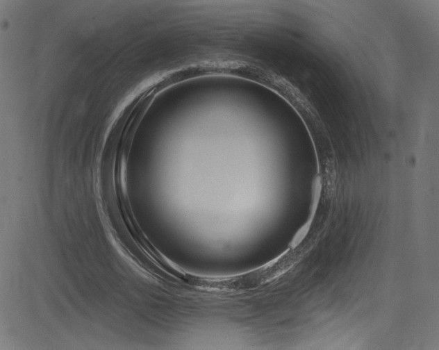 X0000082960726200702011306