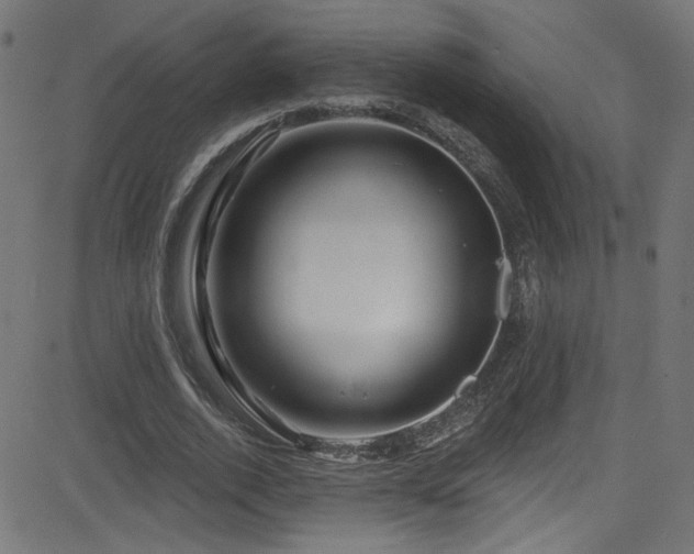 X0000082960728200702011306