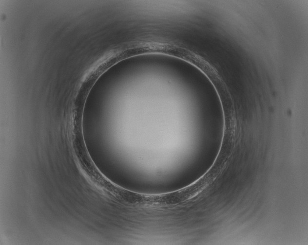 X0000082960730200702011306
