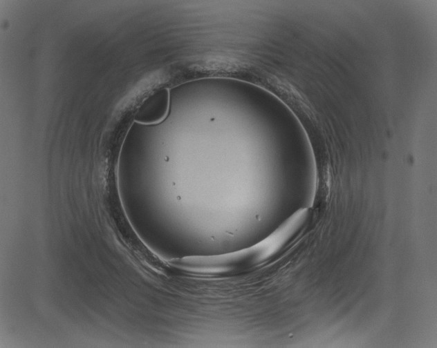 X0000082960735200702011307