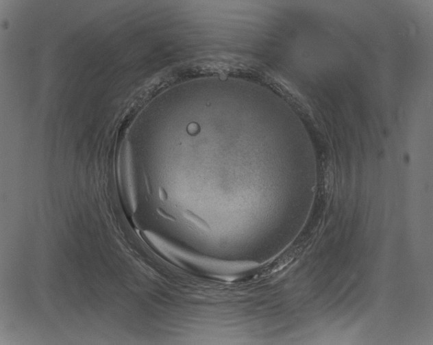 X0000082960737200702011307