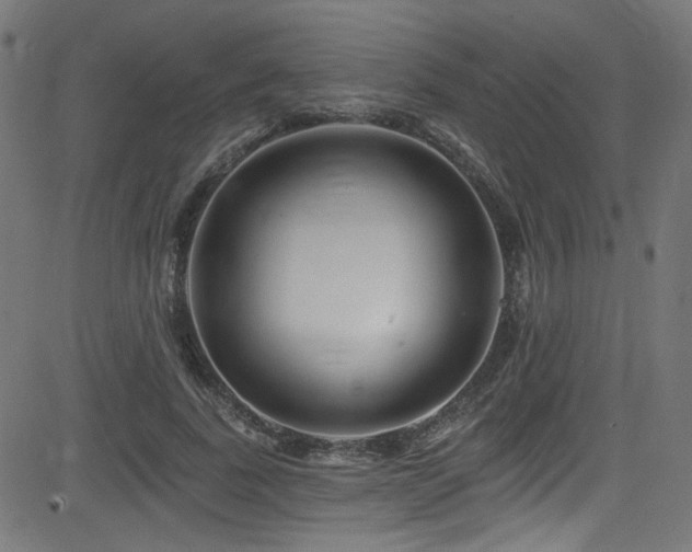 X0000082960739200702011307